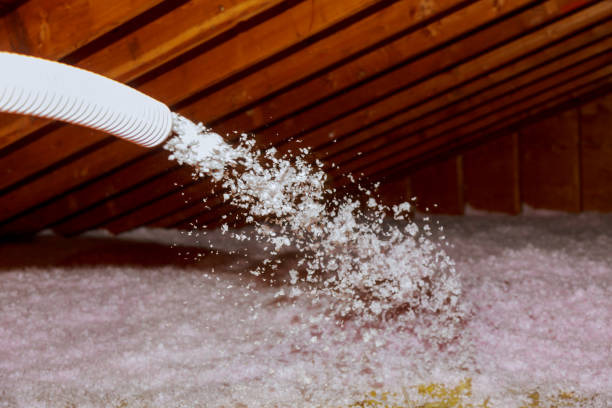 Best Spray Foam Insulation  in Atmore, AL